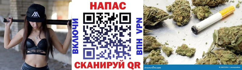 Наркота Чадан Конопля ГАШ