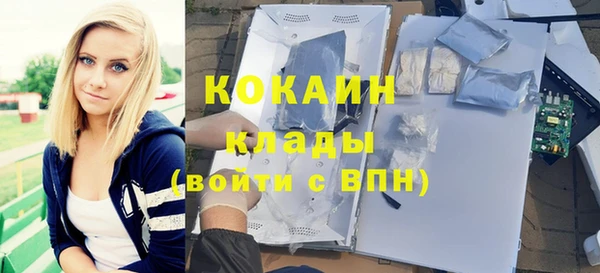 ГАЛЛЮЦИНОГЕННЫЕ ГРИБЫ Алексин