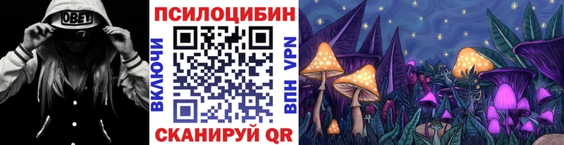 OMG как войти  Чадан  darknet телеграм  Псилоцибиновые грибы ЛСД 
